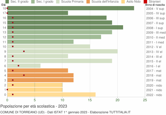 Grafico Popolazione in età scolastica - Torreano 2023