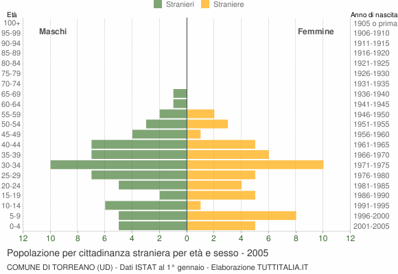 Grafico cittadini stranieri - Torreano 2005