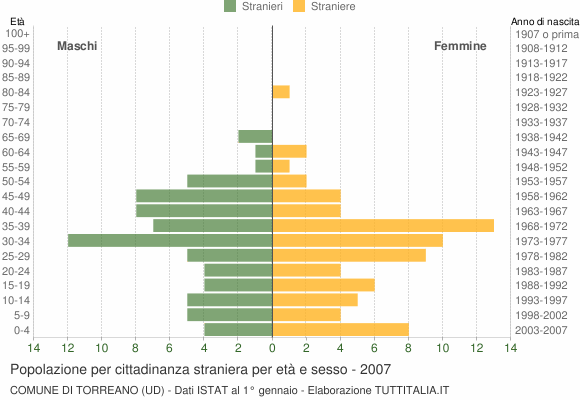 Grafico cittadini stranieri - Torreano 2007