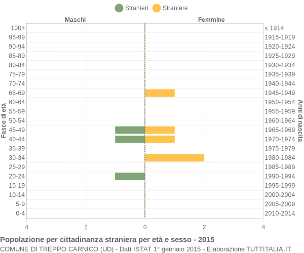 Grafico cittadini stranieri - Treppo Carnico 2015