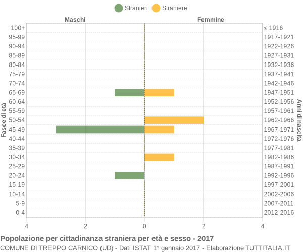 Grafico cittadini stranieri - Treppo Carnico 2017