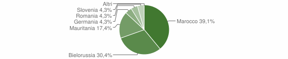 Grafico cittadinanza stranieri - Moraro 2006