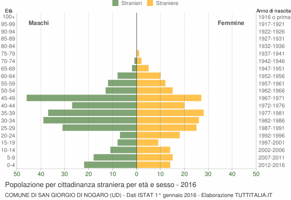 Grafico cittadini stranieri - San Giorgio di Nogaro 2016