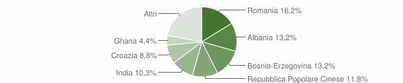 Grafico cittadinanza stranieri - Bagnaria Arsa 2005