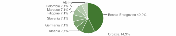 Grafico cittadinanza stranieri - Stregna 2007