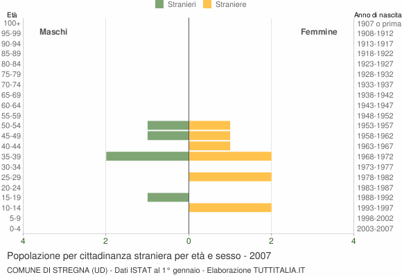 Grafico cittadini stranieri - Stregna 2007