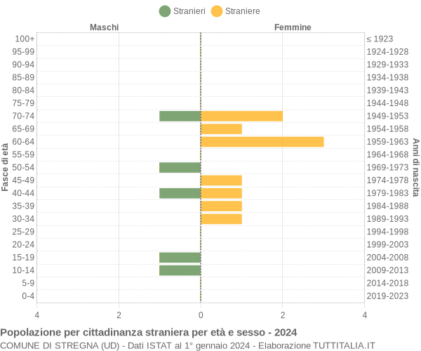 Grafico cittadini stranieri - Stregna 2024