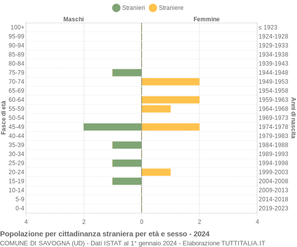 Grafico cittadini stranieri - Savogna 2024