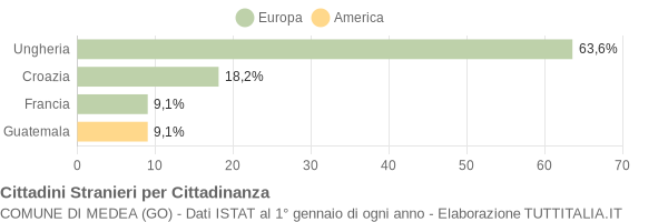 Grafico cittadinanza stranieri - Medea 2005