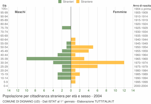 Grafico cittadini stranieri - Dignano 2004