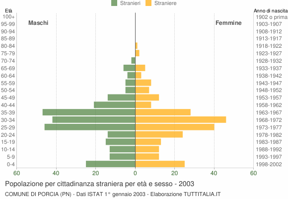 Grafico cittadini stranieri - Porcia 2003