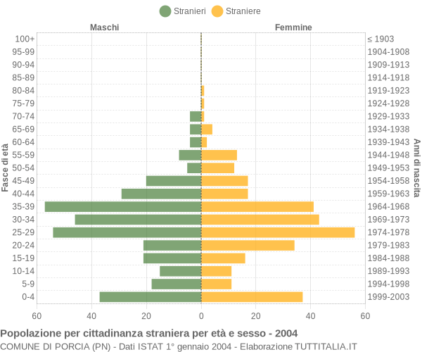 Grafico cittadini stranieri - Porcia 2004