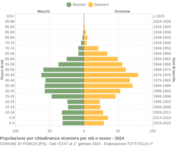 Grafico cittadini stranieri - Porcia 2024