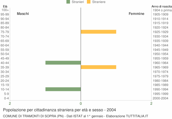 Grafico cittadini stranieri - Tramonti di Sopra 2004