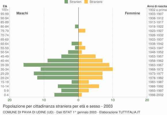 Grafico cittadini stranieri - Pavia di Udine 2003