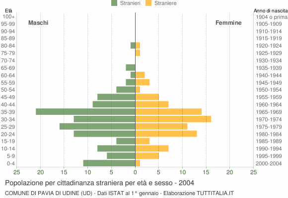 Grafico cittadini stranieri - Pavia di Udine 2004