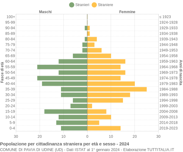 Grafico cittadini stranieri - Pavia di Udine 2024