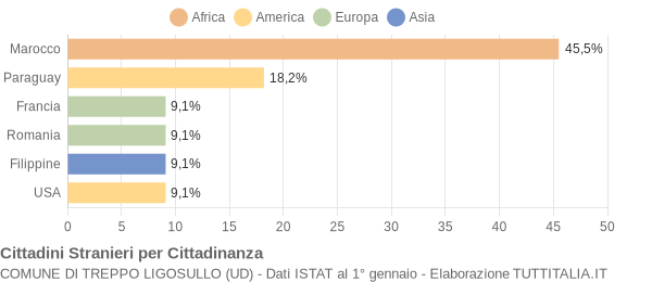 Grafico cittadinanza stranieri - Treppo Ligosullo 2005