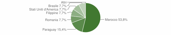 Grafico cittadinanza stranieri - Treppo Ligosullo 2006