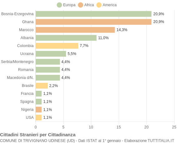 Grafico cittadinanza stranieri - Trivignano Udinese 2008