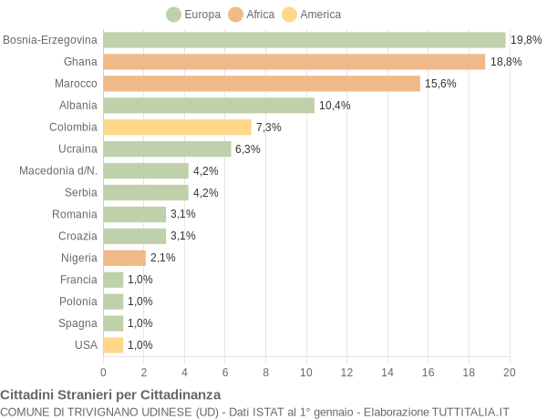 Grafico cittadinanza stranieri - Trivignano Udinese 2009