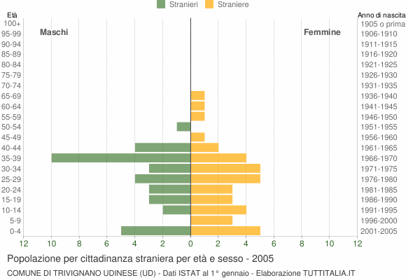 Grafico cittadini stranieri - Trivignano Udinese 2005