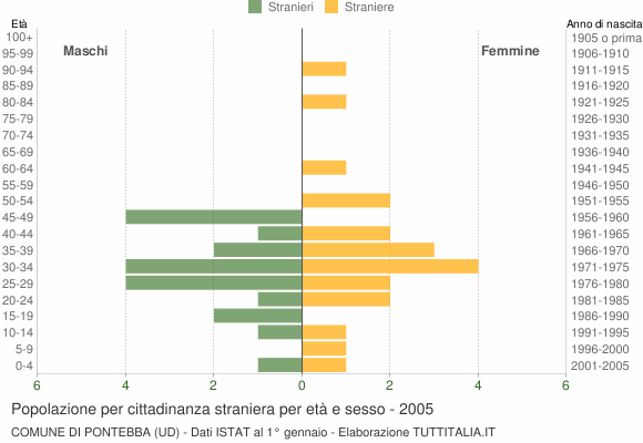 Grafico cittadini stranieri - Pontebba 2005