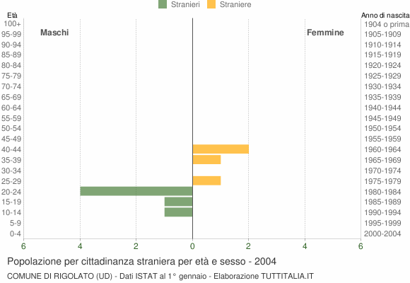 Grafico cittadini stranieri - Rigolato 2004