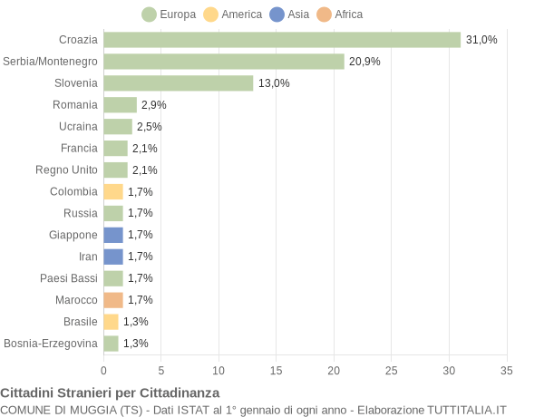 Grafico cittadinanza stranieri - Muggia 2005
