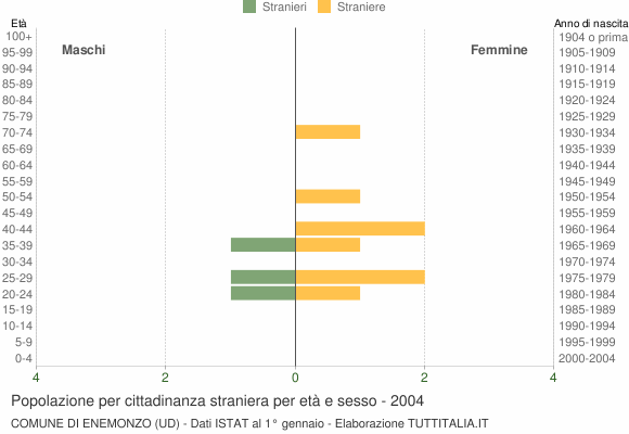 Grafico cittadini stranieri - Enemonzo 2004