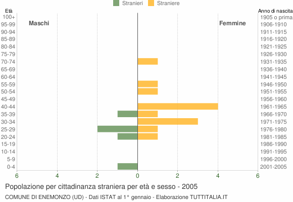 Grafico cittadini stranieri - Enemonzo 2005