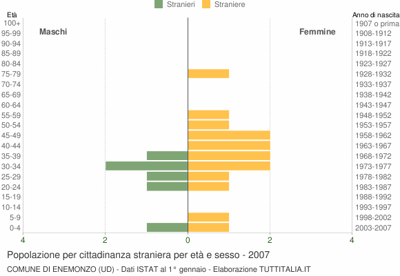 Grafico cittadini stranieri - Enemonzo 2007