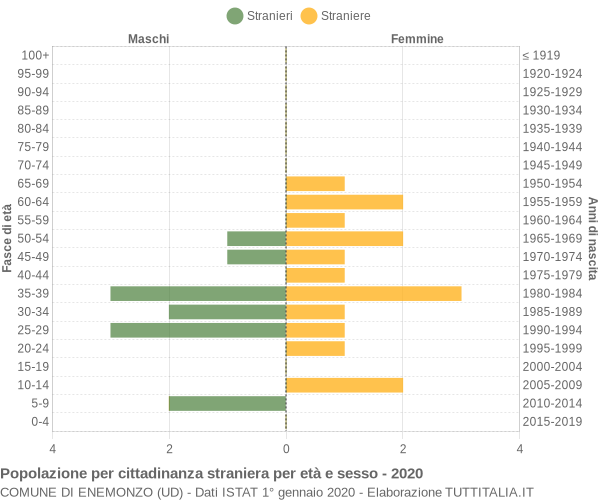 Grafico cittadini stranieri - Enemonzo 2020