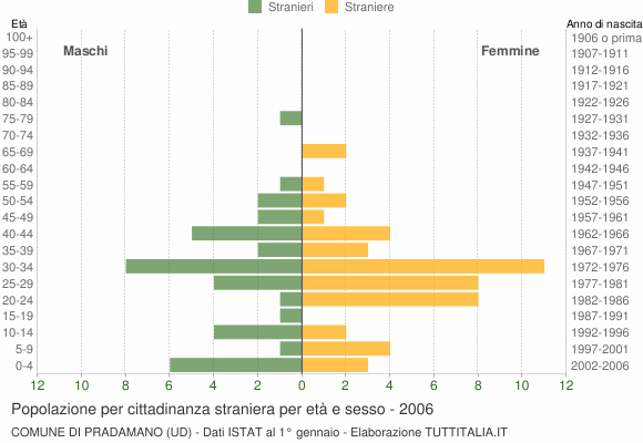 Grafico cittadini stranieri - Pradamano 2006