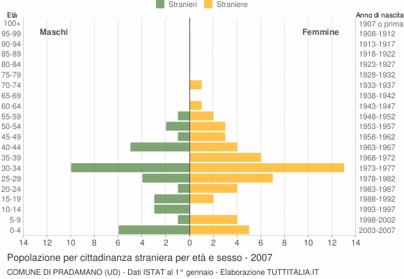 Grafico cittadini stranieri - Pradamano 2007