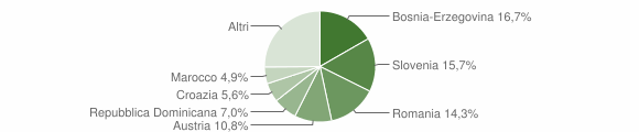 Grafico cittadinanza stranieri - Tarvisio 2013