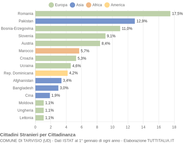 Grafico cittadinanza stranieri - Tarvisio 2019