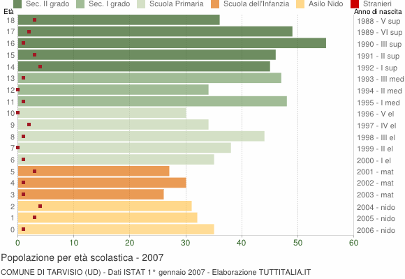 Grafico Popolazione in età scolastica - Tarvisio 2007