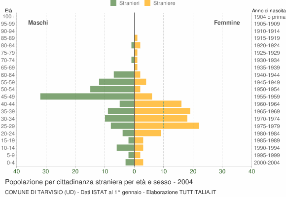 Grafico cittadini stranieri - Tarvisio 2004