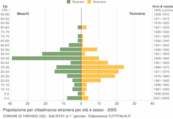 Grafico cittadini stranieri - Tarvisio 2005