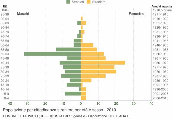 Grafico cittadini stranieri - Tarvisio 2010