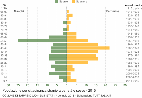 Grafico cittadini stranieri - Tarvisio 2015