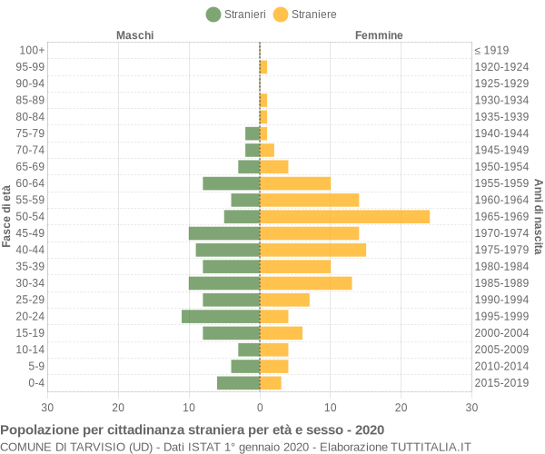 Grafico cittadini stranieri - Tarvisio 2020