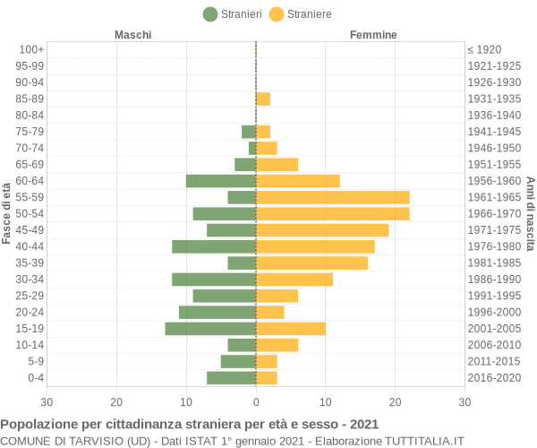 Grafico cittadini stranieri - Tarvisio 2021