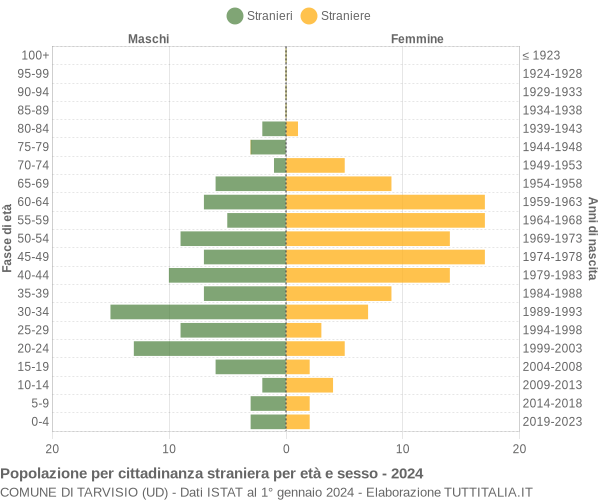 Grafico cittadini stranieri - Tarvisio 2024