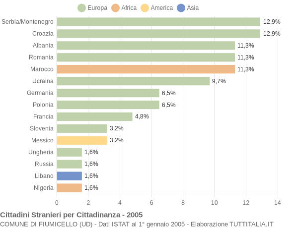 Grafico cittadinanza stranieri - Fiumicello 2005