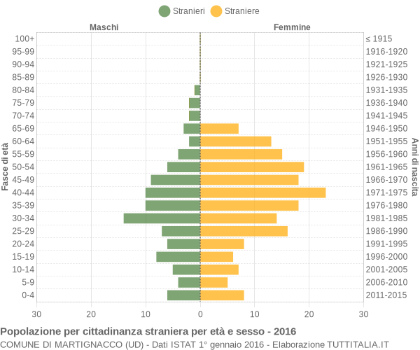 Grafico cittadini stranieri - Martignacco 2016
