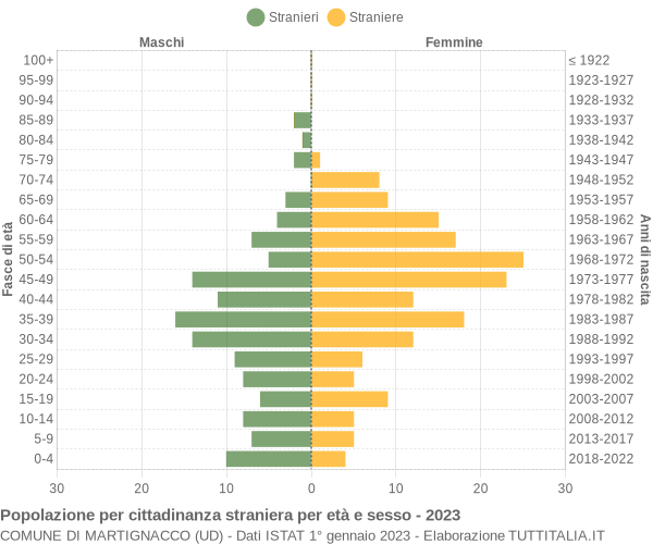 Grafico cittadini stranieri - Martignacco 2023