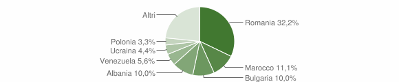 Grafico cittadinanza stranieri - Meduno 2010