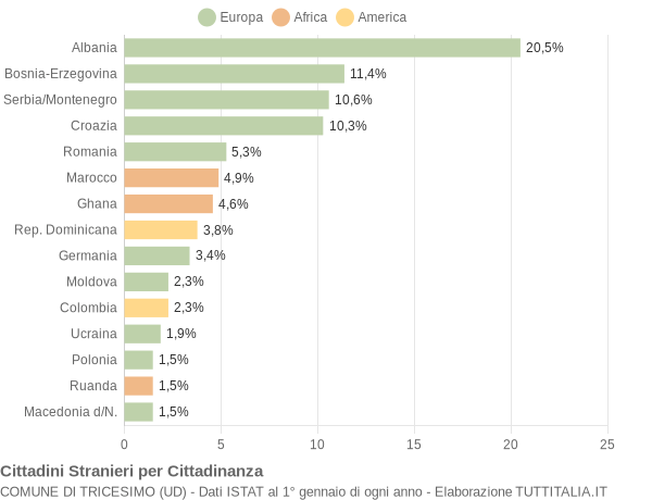 Grafico cittadinanza stranieri - Tricesimo 2004